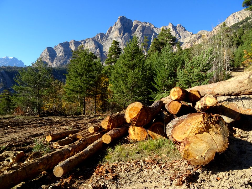 Tas de grumes et Montbrison 