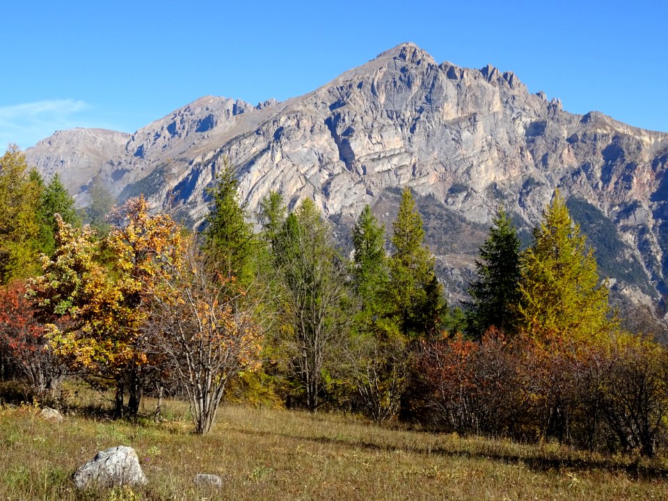 Le Montbrison 