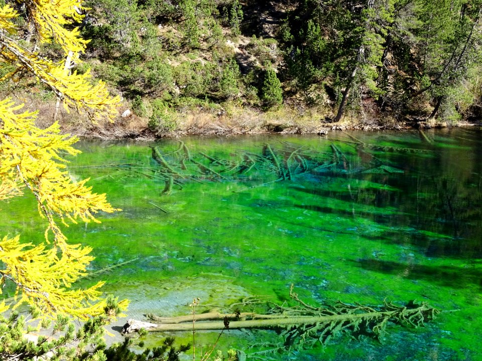 Lac Vert, dans la Vallée Etroite 