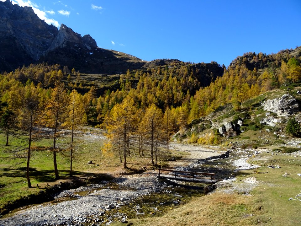 Pont de la Fonderie, Vallée Etroite 