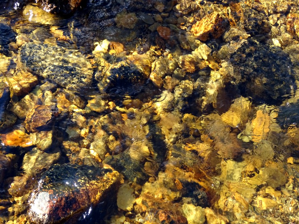 Mieux que de l'or liquide, de l'eau ! 