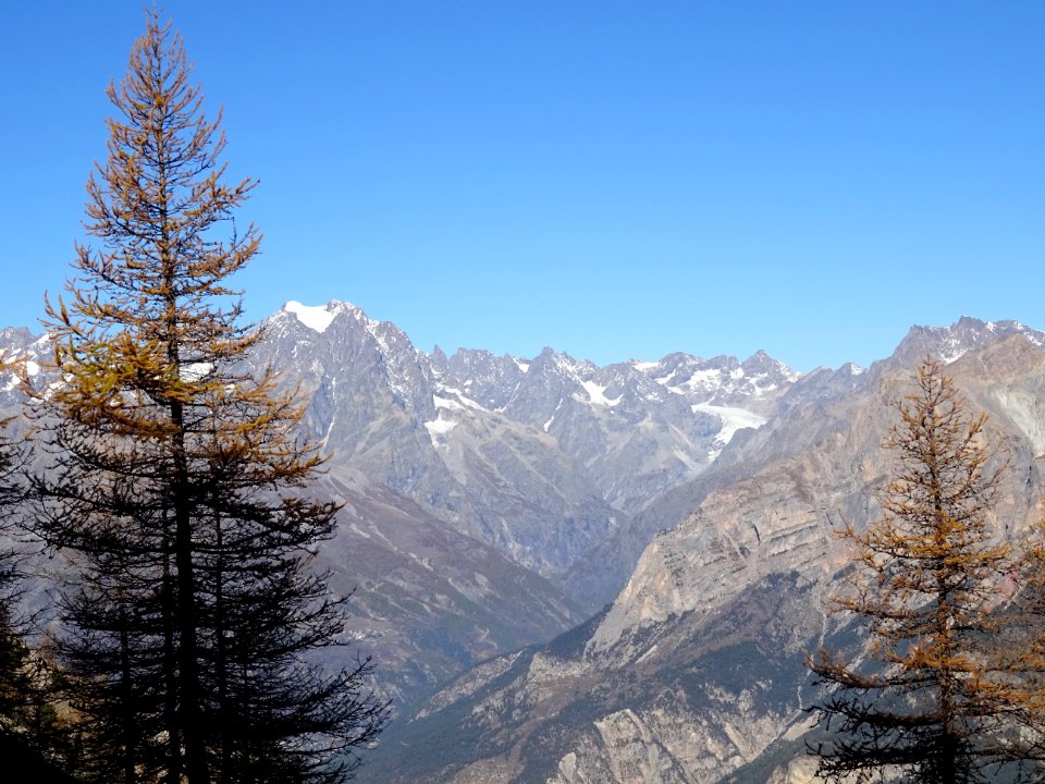 Le Mont Pelvoux et le Glacier Blanc 