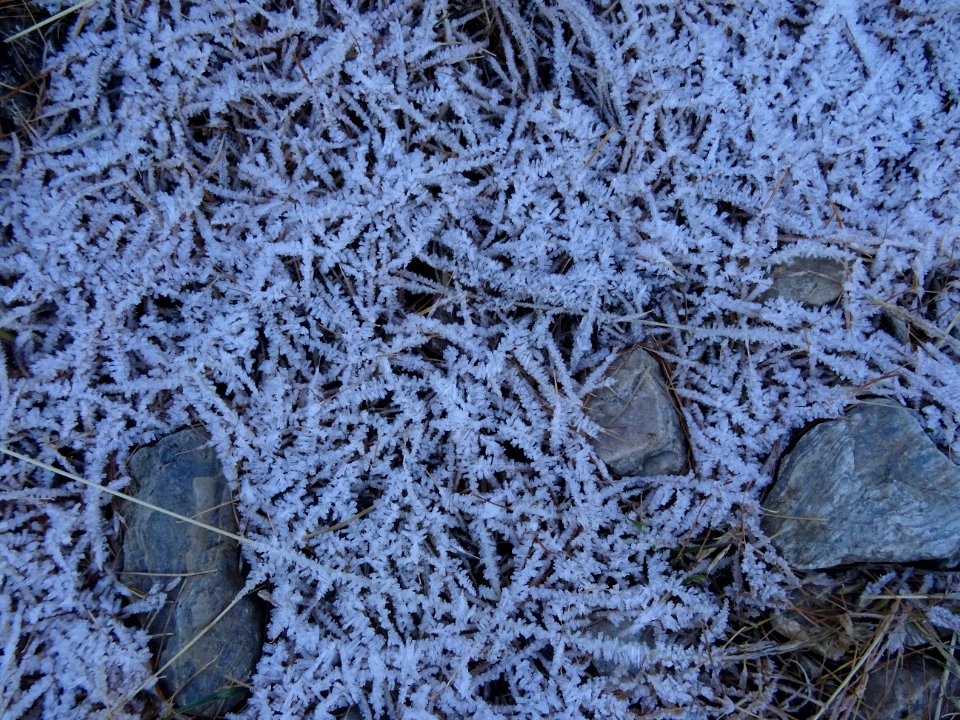 Givre en cristaux en forme de batonnets 