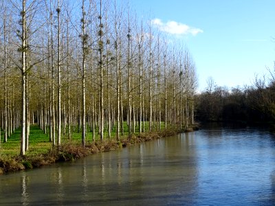 DSC03705 