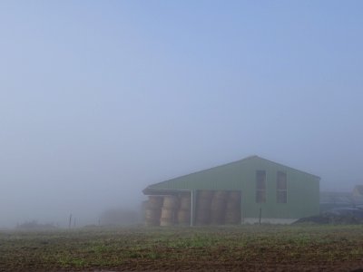 DSC03540 