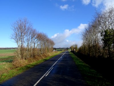 DSC03637 