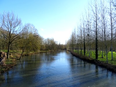DSC03709 