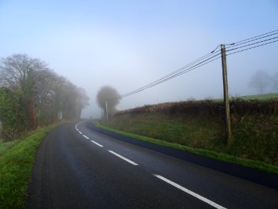 DSC03535 