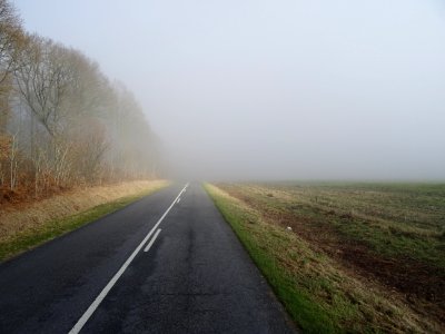 DSC03639 