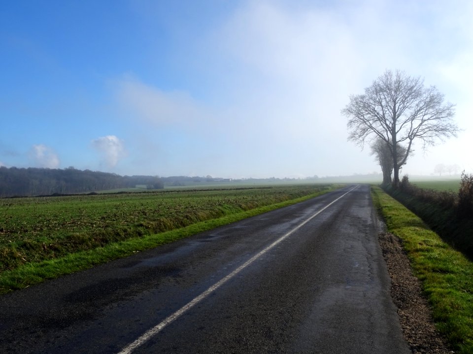 Ah le ciel bleu ! Et quel bleu, tout neuf et tout propre !… 