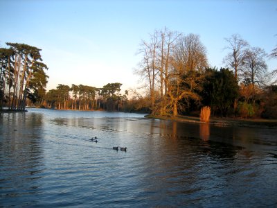 Lac inférieur, Bois de Boulogne, Paris 