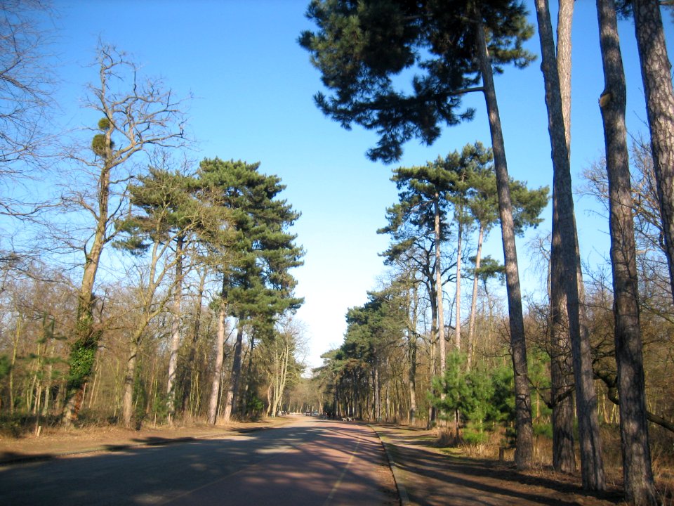 Avenue de Saint-Cloud, Bois de Boulogne, Paris 