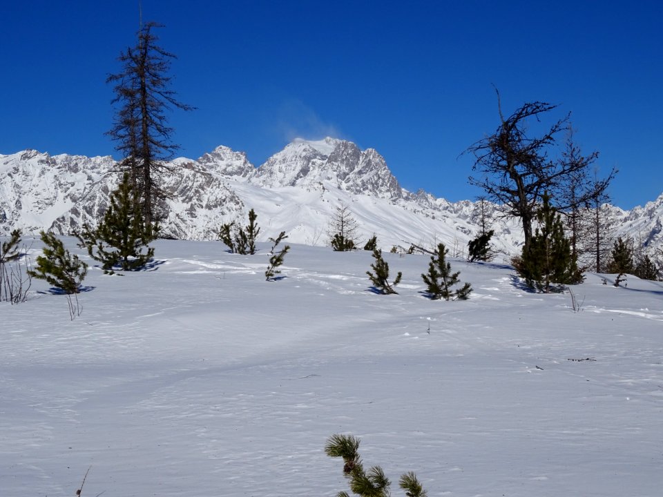 Le Pic sans Nom et le Mont Pelvoux 