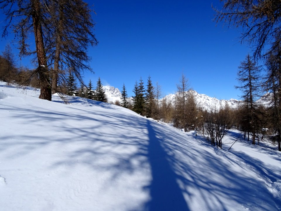 Plateau d'Oréac et Mont Pelvoux au loin 