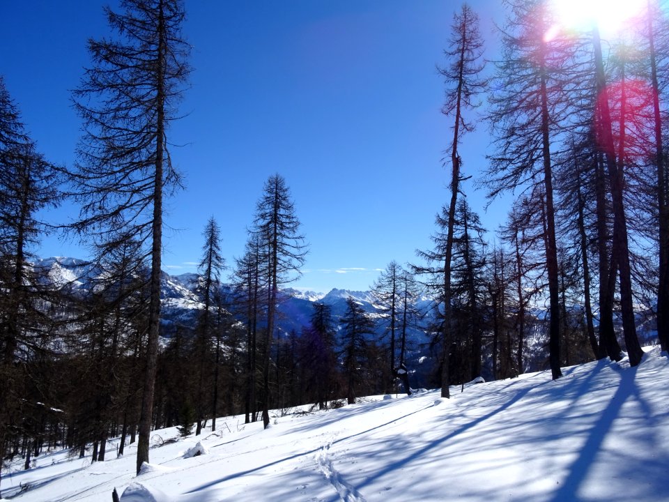 Plateau d'Oréac 