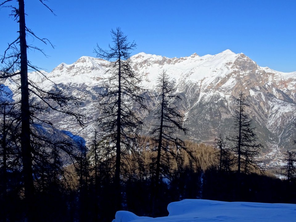 Vue vers la Condamine et le Montbrison 