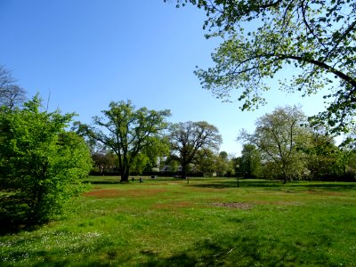 Parc à Croissy-sur-Seine, Yvelines 