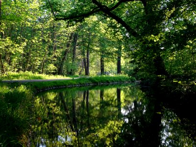 Ruisseau de Longchamp, Bois de Boulogne 