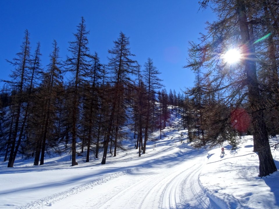 Piste de ski de fond, au col de la Pousterle 