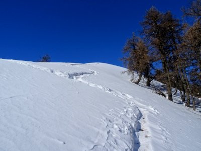 Encore un zig et un zag sous la Tête d'Oréac 