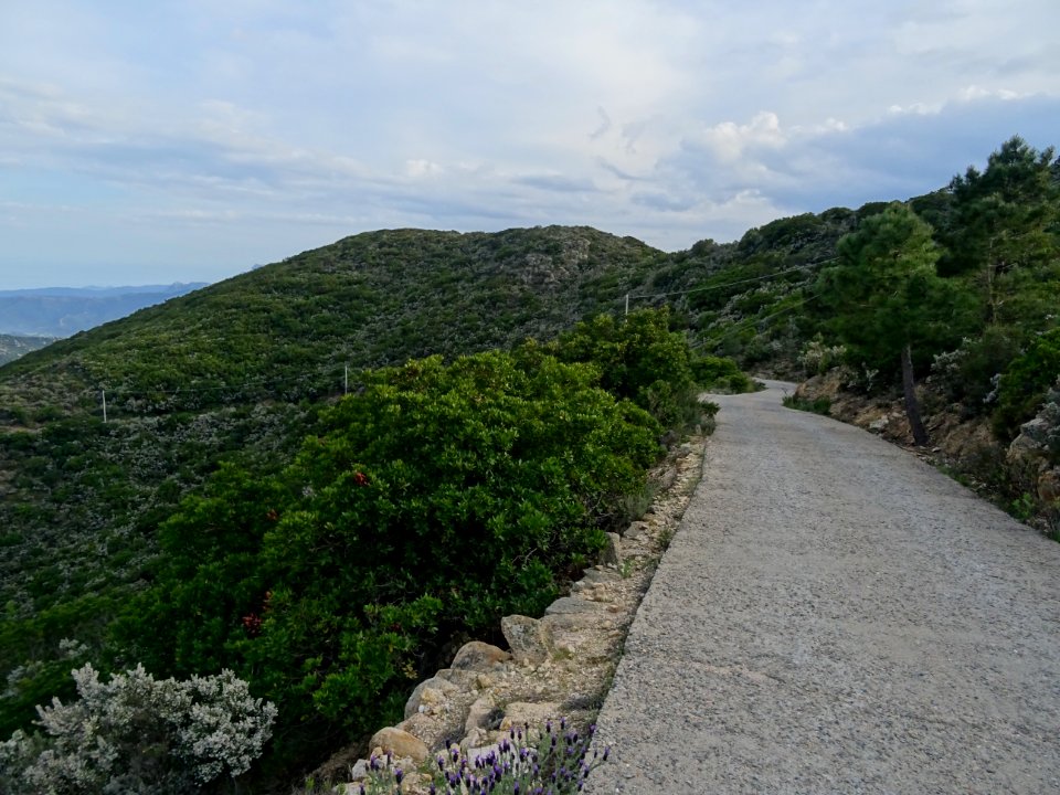 Piste bétonnée qui plonge vers Sos Rios 