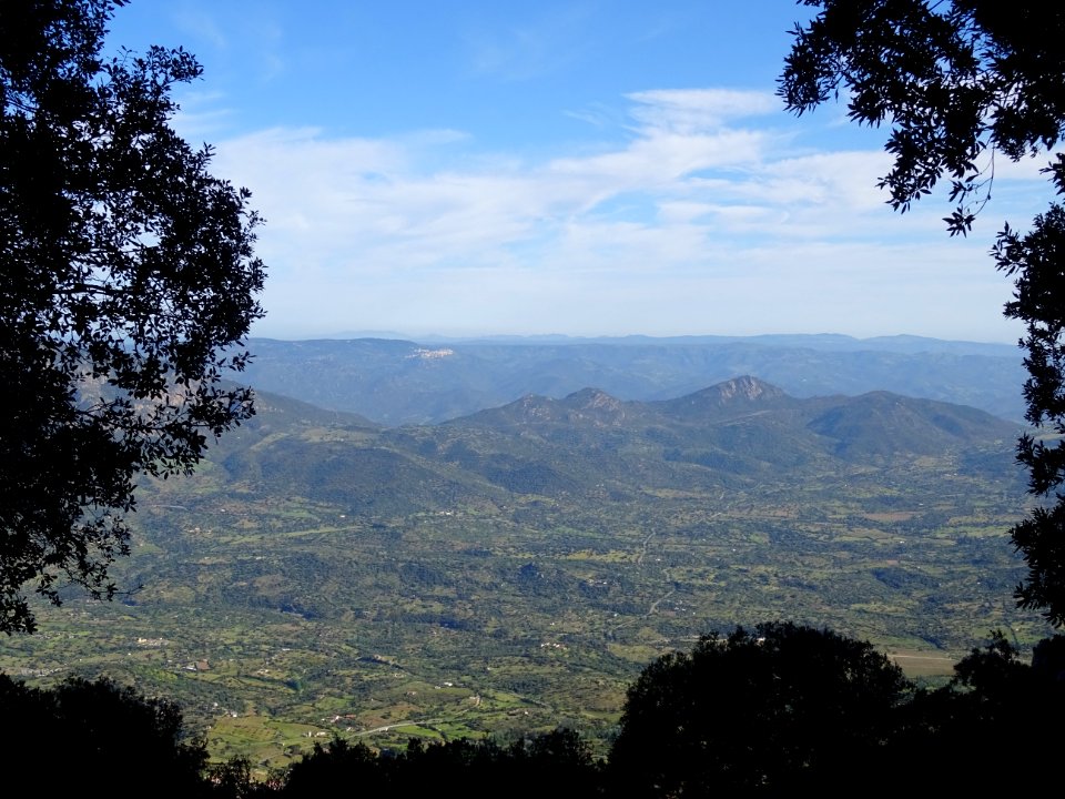 Vue sur la plaine où coule le Fiume Cedrino 