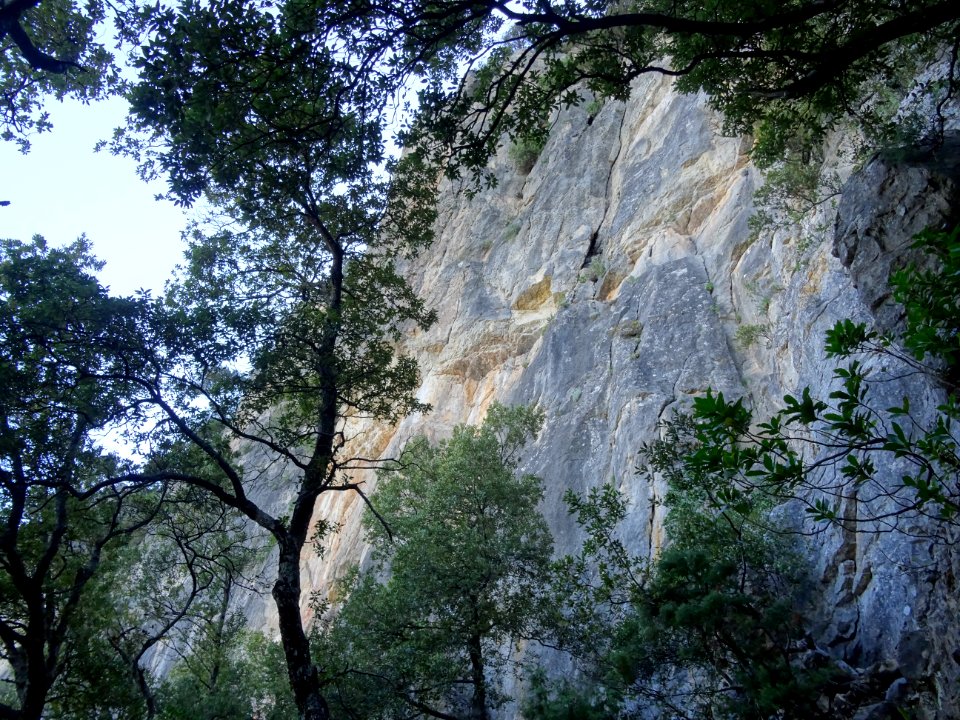 Falaise sous la Punta Carabidda 
