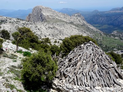 Cabane de berger sarde, Cuile Vadde 'e Sas Mandras, Dorgal… 