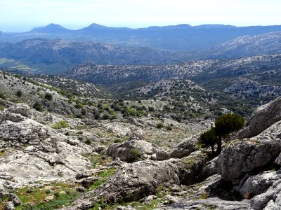 Avez-vous repéré la cabane, il n'y aura pas de 2e chance !… 
