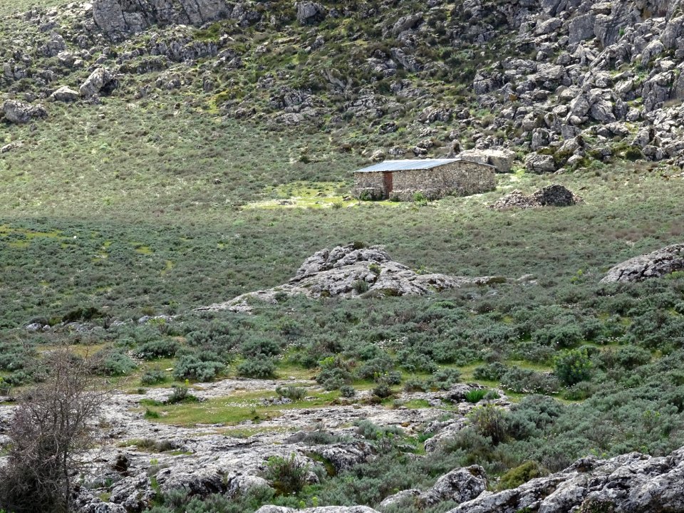 La bergerie dans la cuvette karstique de Su Pradu 