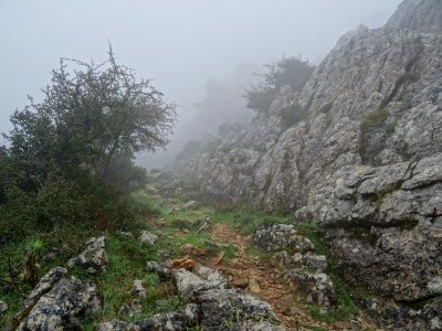 Sentier et rochers rendus glissant par le brouillard photo