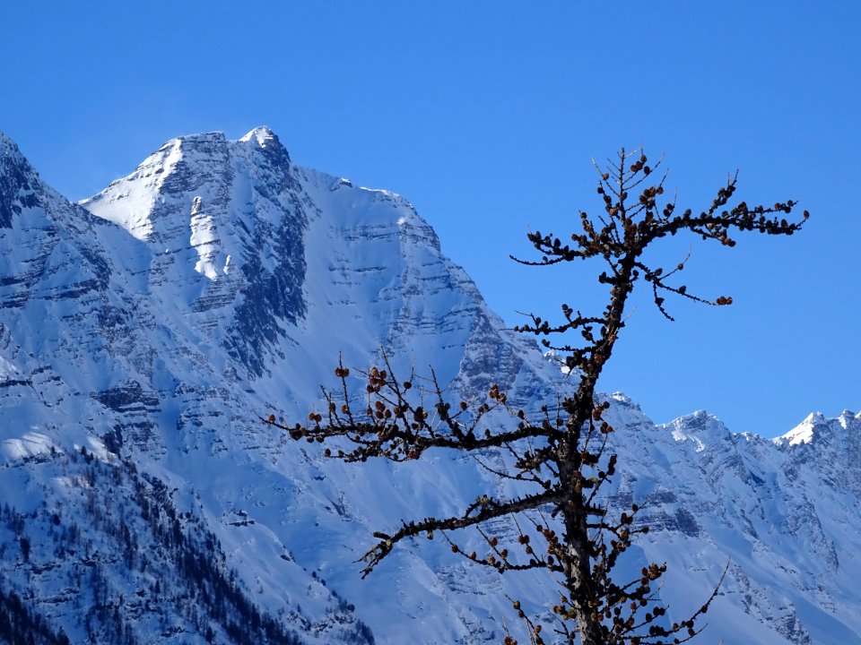 Vers le haut du vallon du Fournel, pics enneigés et silhou… 