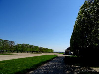 Parc du Château de Saint-Germain-en-Laye, Yvelines 