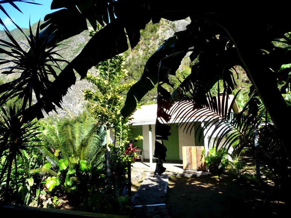 Case et jardin, à Grand Bassin 