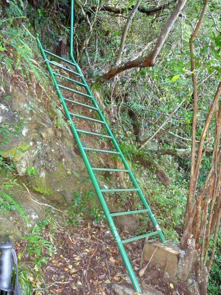 5 ou 6 échelles au total, pour remonter le sentier Mollare… 
