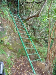5 ou 6 échelles au total, pour remonter le sentier Mollare… 