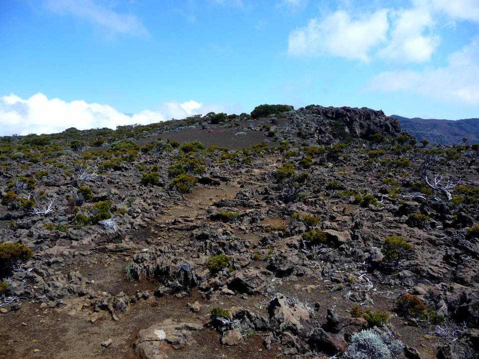 Plateau du Morne Langevin 