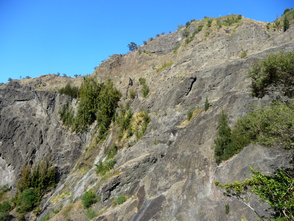 Falaises et filaos 