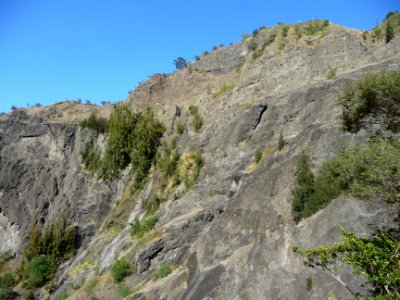 Falaises et filaos 