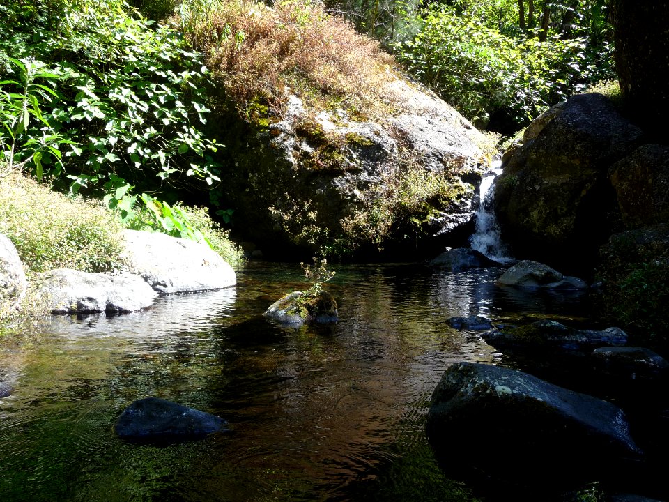 Petite retenue d'eau en remontant le sentier des Calumets 