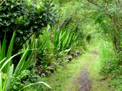 Le sentier 