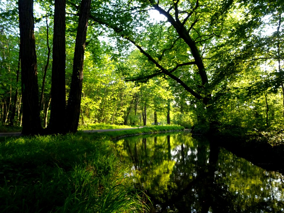 Ruisseau de Longchamp, Bois de Boulogne 
