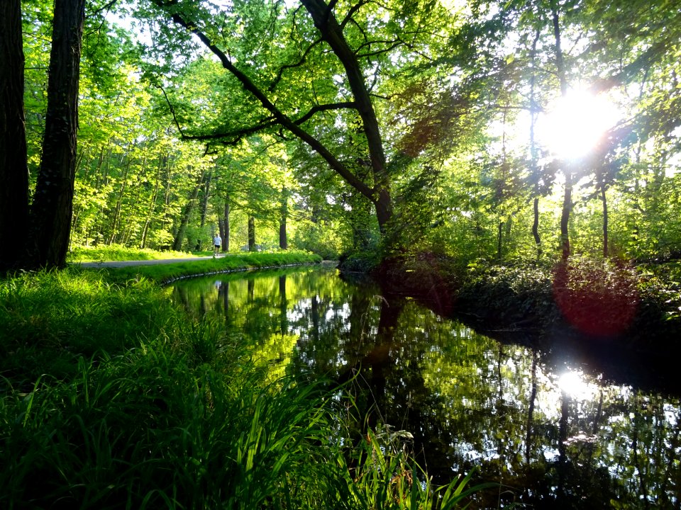 Ruisseau de Longchamp, Bois de Boulogne 