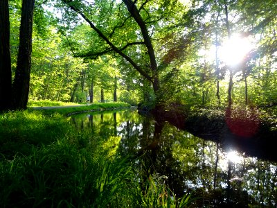 Ruisseau de Longchamp, Bois de Boulogne photo