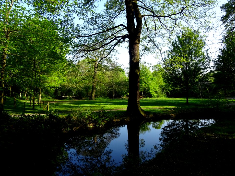 Ruisseau de Longchamp, Bois de Boulogne 