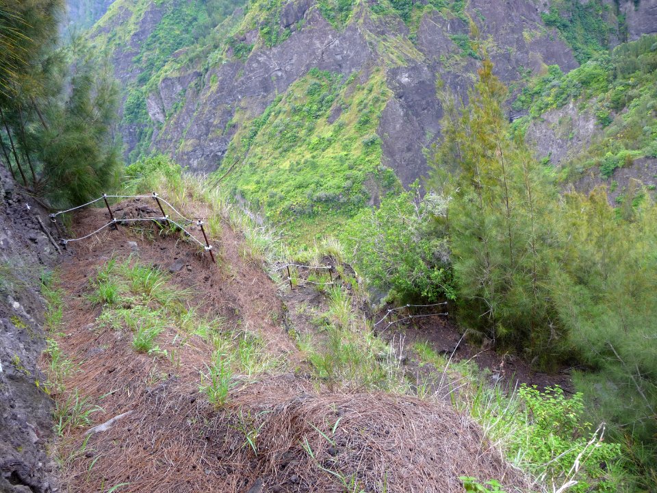 Les lacets du sentier du Reposoir, aiguilles de filaos 