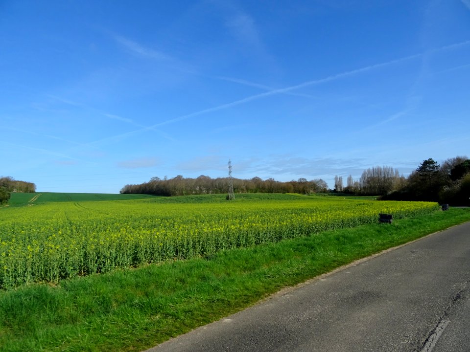 DSC04555 