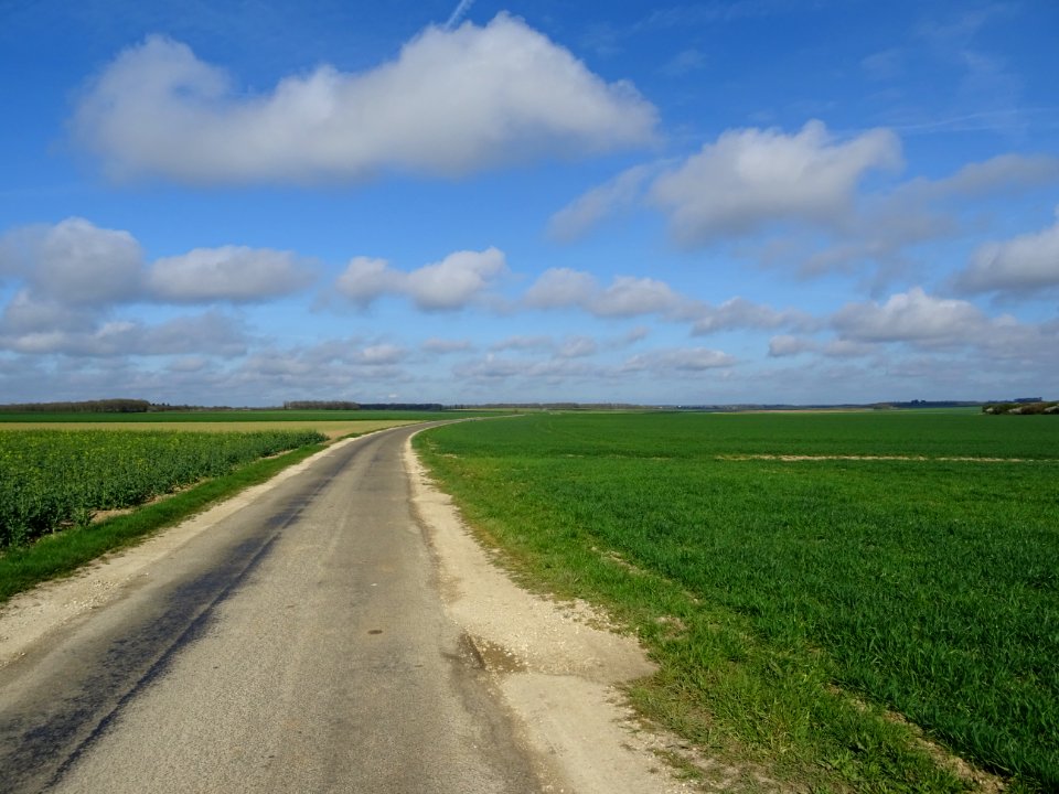 Petite route entre Saint-Piat et Gallardon, Eure-et-Loir 