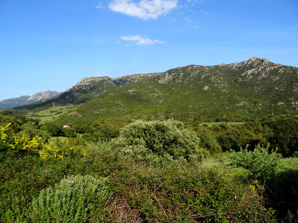 Contreforts du Monte Nieddu photo