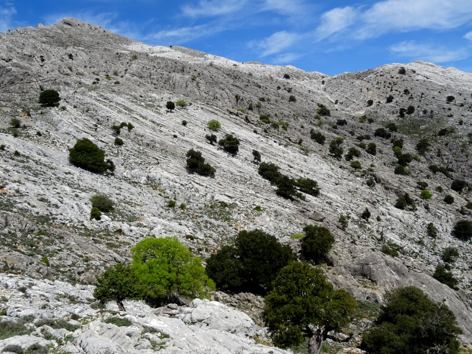Le Monte Corrasi et ses pentes karstiques 